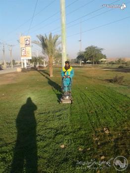 اجرای عملیات تشتک زنی « حاشیه زنی و چمن زنی پارک کوی سلیم آباد منطقه شش اجرای عملیات تشتک زنی « حاشیه زنی و چمن زنی پارک کوی سلیم آباد منطقه شش