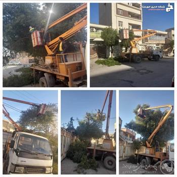 عملیات هرس درختان سطح معابر به درخواست شهروندان در سامانه ۱۳۷ عملیات هرس درختان سطح معابر به درخواست شهروندان در سامانه ۱۳۷