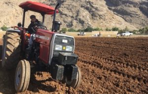 کشت محصولات پاییزه در۲۰ هزار هکتار از اراضی ایذه کشت محصولات پاییزه در۲۰ هزار هکتار از اراضی ایذه