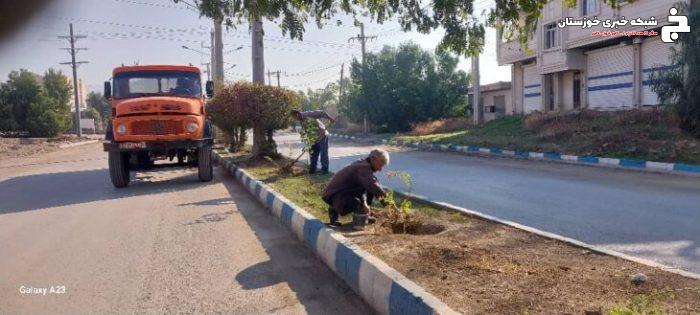 عملیات کاشت درخت برهان گلی و گل کاغذی در برخی بلوارهای سطح شهر 