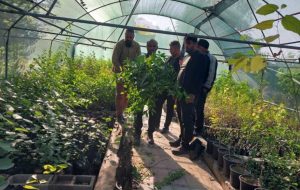 همکاری بین بخشی شهرداری و شرکت بهره برداری نفت و گاز مسجدسلیمان در راستای توسعه فضای سبز شهری همکاری بین بخشی شهرداری و شرکت بهره برداری نفت و گاز مسجدسلیمان در راستای توسعه فضای سبز شهری