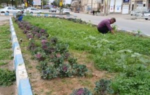 گزارش عملکرد واحد فضای سبز شهرداری مسجدسلیمان در هفته ای که گذشت