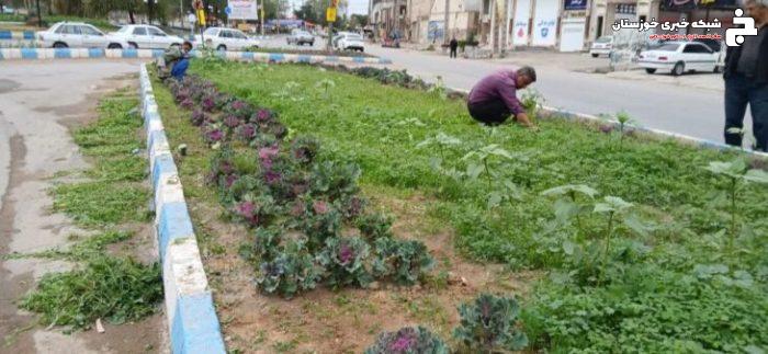 گزارش عملکرد واحد فضای سبز شهرداری مسجدسلیمان در هفته ای که گذشت