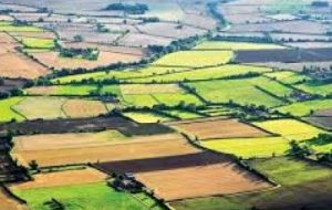 شناسایی ۴۲ مورد تغییرکاربری غیرمجاز در اراضی کشاورزی خوزستان شناسایی ۴۲ مورد تغییرکاربری غیرمجاز در اراضی کشاورزی خوزستان