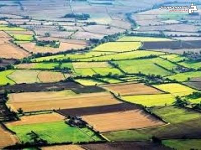شناسایی ۴۲ مورد تغییرکاربری غیرمجاز در اراضی کشاورزی خوزستان شناسایی ۴۲ مورد تغییرکاربری غیرمجاز در اراضی کشاورزی خوزستان