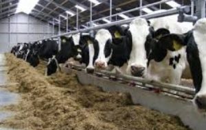 واگذاری دو هزار مترمربع اراضی ملی در بندرماهشهر واگذاری دو هزار مترمربع اراضی ملی در بندرماهشهر