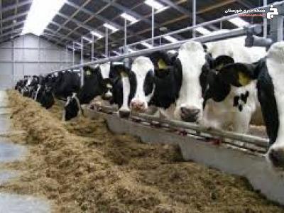 واگذاری دو هزار مترمربع اراضی ملی در بندرماهشهر واگذاری دو هزار مترمربع اراضی ملی در بندرماهشهر