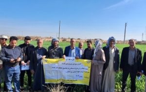 آشنایی با کنترل عوامل خسارت زا در مزارع گندم آشنایی با کنترل عوامل خسارت زا در مزارع گندم