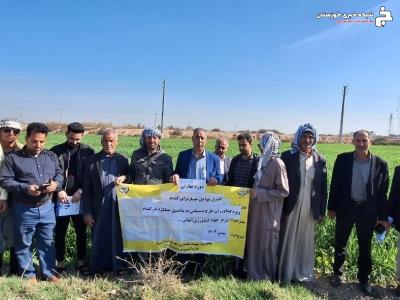 آشنایی با کنترل عوامل خسارت زا در مزارع گندم آشنایی با کنترل عوامل خسارت زا در مزارع گندم