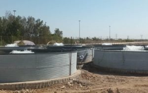 افتتاح طرح های پرورش ماهی در استخرهای دو منظوره روستای قصبه منیعات افتتاح طرح های پرورش ماهی در استخرهای دو منظوره روستای قصبه منیعات