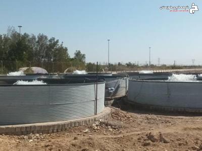 افتتاح طرح های پرورش ماهی در استخرهای دو منظوره روستای قصبه منیعات افتتاح طرح های پرورش ماهی در استخرهای دو منظوره روستای قصبه منیعات