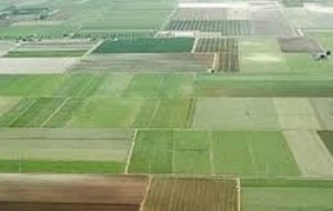 رفع تداخل بیش از پنج هزار هکتار اراضی در کمیسیون رفع تداخلات خوزستان رفع تداخل بیش از پنج هزار هکتار اراضی در کمیسیون رفع تداخلات خوزستان