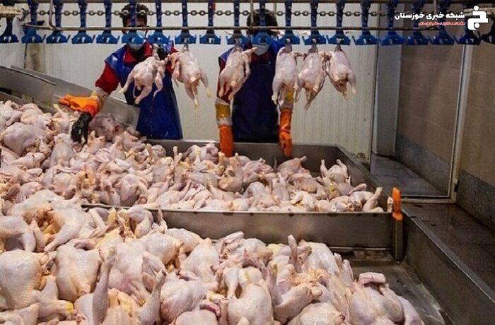 حمایت از تولیدکنندگان مرغ در خوزستان با برنامه خرید گوشت مرغ