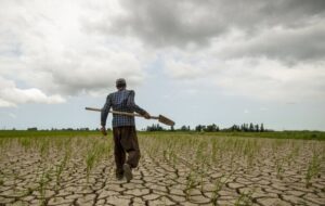 خشکسالی کم سابقه در خوزستان و لزوم تهیه نقشه راه