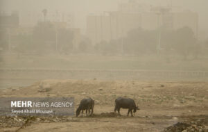 باد شدید و گرد و خاک در راه استان خوزستان