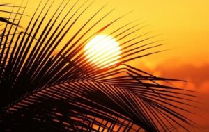 پیش‌بینی دمای نزدیک به ۵۰ درجه و تندبادهای گردوخاک در خوزستان