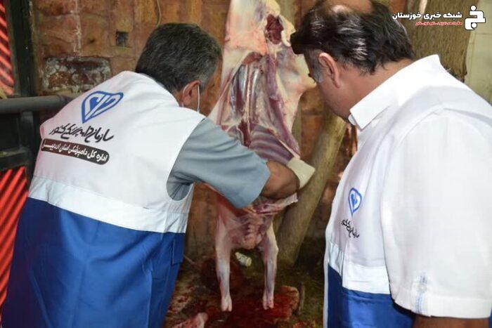 ۹۳ اکیپ دامپزشکی خوزستان بر ذبح دام در عید قربان نظارت دارند
