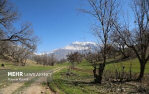جستجوی گسترده برای یافتن دامپزشک مفقودشده درارتفاعات اندیکا ادامه دارد