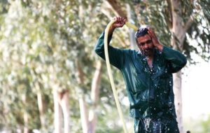 تداوم افزایش رطوبت و شرجی در خوزستان