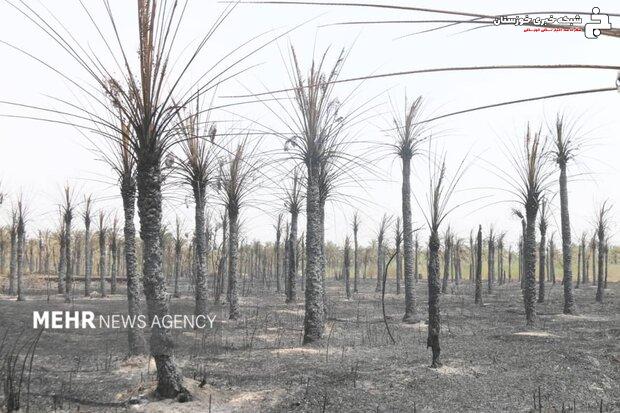 آتشسوزی گسترده در نخلستانهای آبادان؛ تلاش آتشنشانان برای مهار آتش آتشسوزی گسترده در نخلستانهای آبادان؛ تلاش آتشنشانان برای مهار آتش