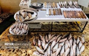 بازارچه عرضه محصولات شیلاتی در شوشتر راه‌اندازی می‌شود