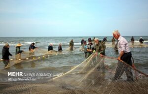 تأکید شیلات ایران بر صید پایدار و حفظ ذخایر آبزی