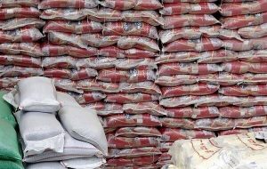 تخلیه هزار تن برنج وارداتی در بندر سجافی آغاز شد