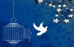 ۵۰ نفر از محکومان جرایم غیرعمد مالی در خوزستان آزاد شدند