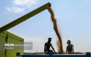 سرمایه‌گذاری کشاورزی خوزستان ۳ برابر شد