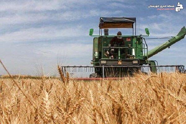 حمایت از ظرفیت‌های کشاورزی شهرستان شادگان با جدیت دنبال می‌شود